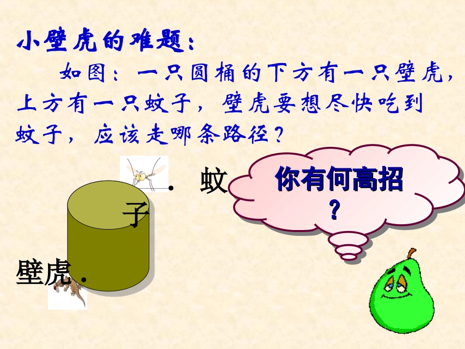 多姿多彩的图形课件3_第2页