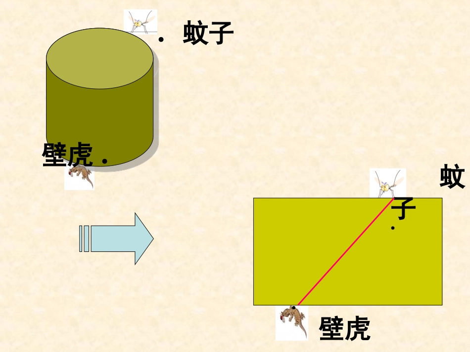多姿多彩的图形课件3_第3页
