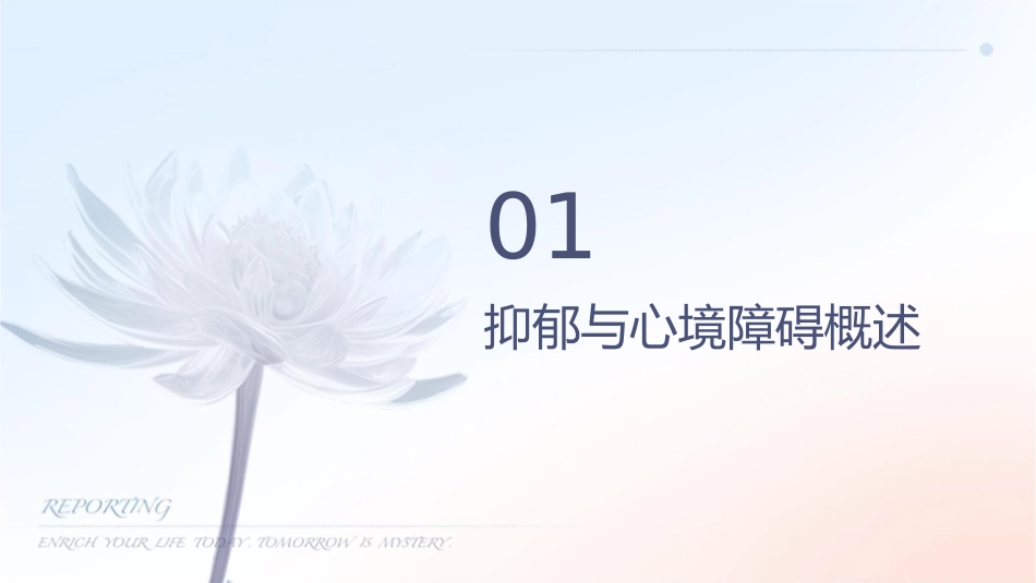 抑郁与心境障碍课件_第3页