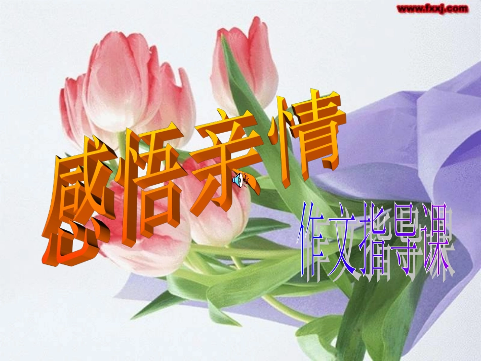 亲情作文指导_第1页