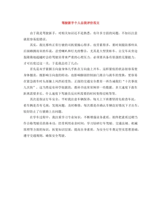 驾驶新手个人自我评价范文 