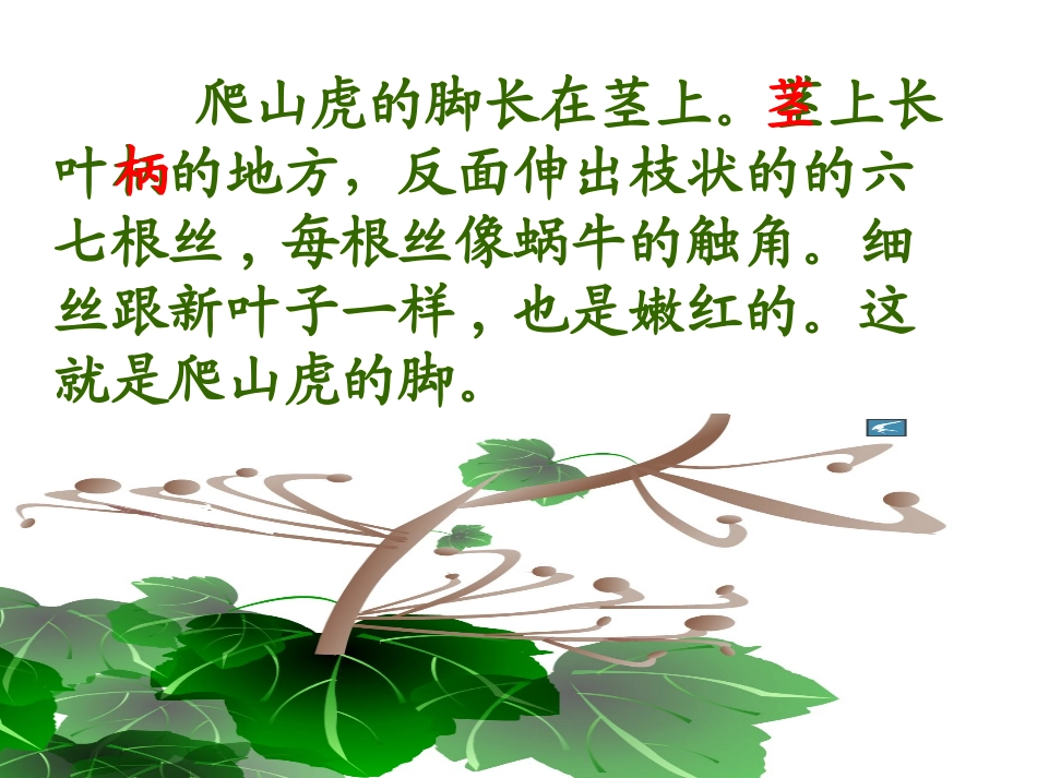 爬山虎的脚 (2)_第2页