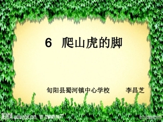 爬山虎的脚 (2)