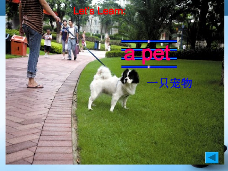 五年级上Unit5_Can_I_have_a_pet？_(1)[1]_第3页