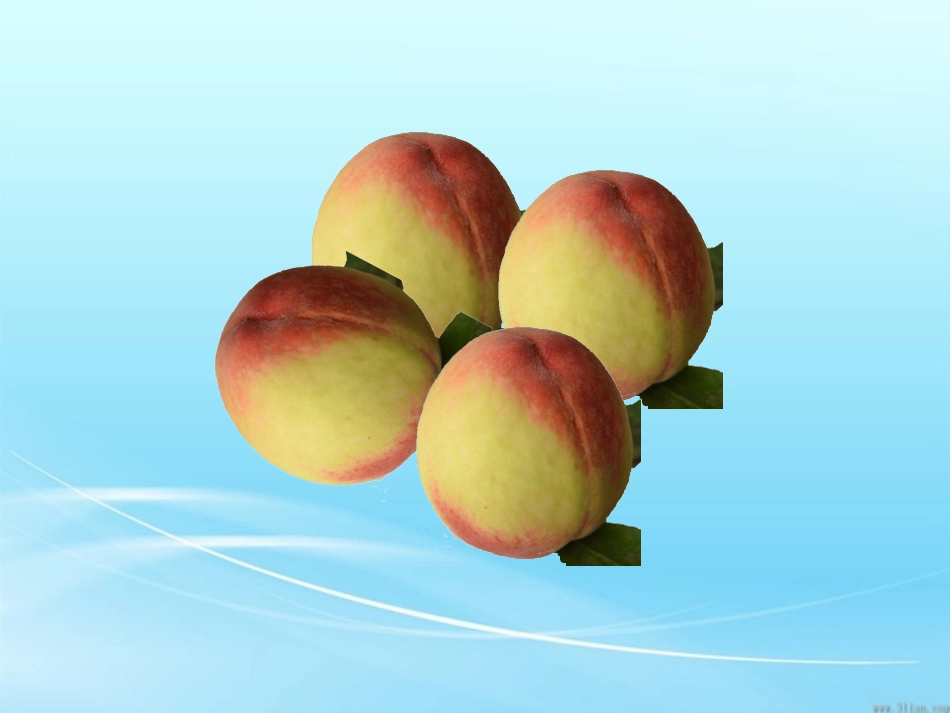 分数的产生和意义_第2页