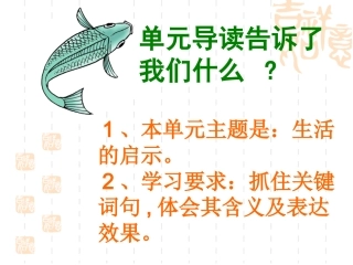 钓鱼的启示PPT