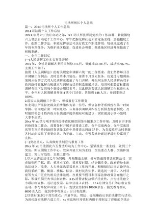 司法所所长个人总结