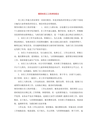领导对员工工作评价范文 