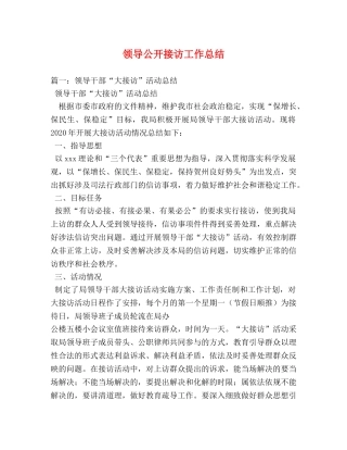 领导公开接访工作总结 