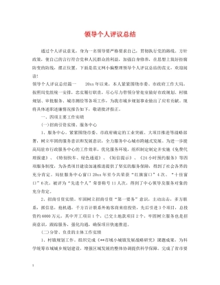 领导个人评议总结 