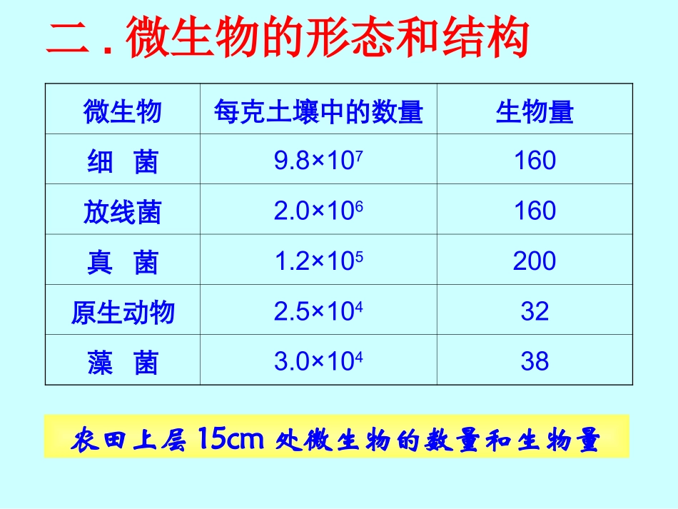 高中生物竞赛辅导课件《微生物与发酵》_第3页