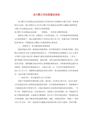 见习期工作自我鉴定总结