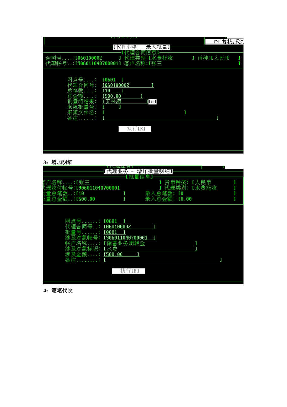 银行系统操作教程(对私公)_第3页