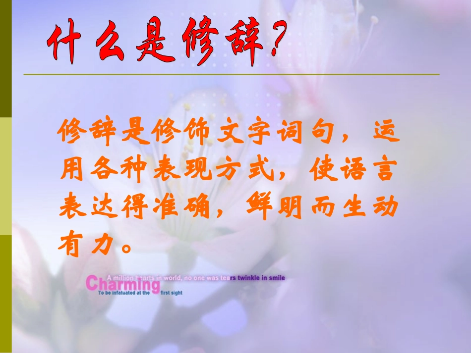 修辞中考语文专题复习：修辞手法课件[1]_第3页