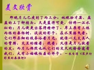 修辞中考语文专题复习：修辞手法课件[1]