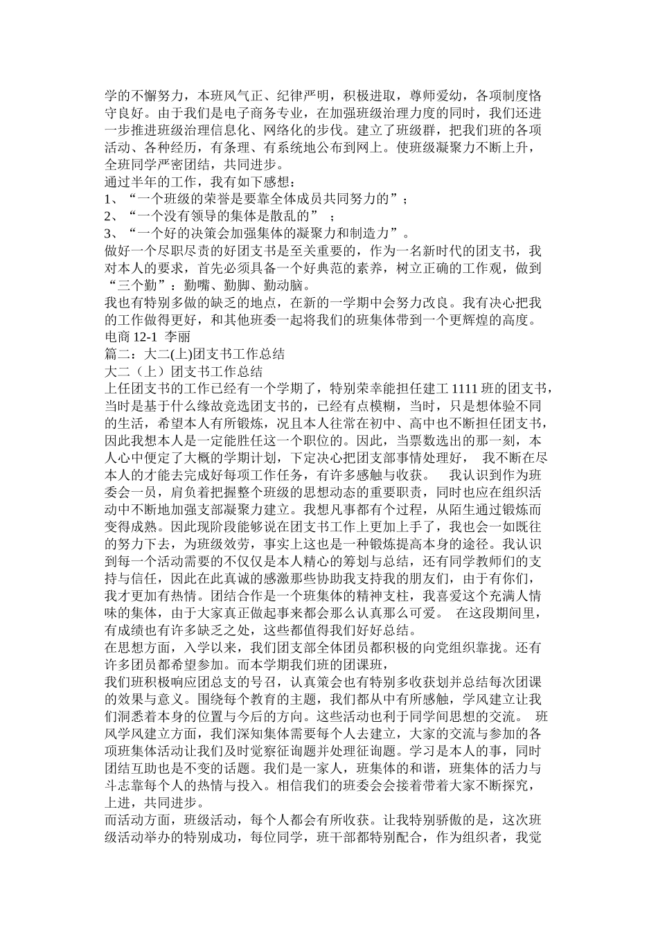 团支书工作总结_第2页