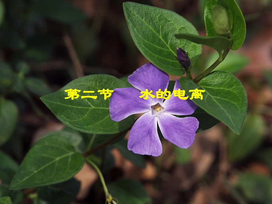选修4_第二章_第二节_水的电离及溶液的酸碱性_第1页