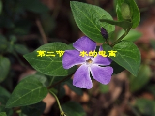 选修4_第二章_第二节_水的电离及溶液的酸碱性