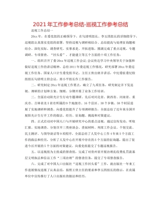 2021年工作参考总结巡视工作参考总结