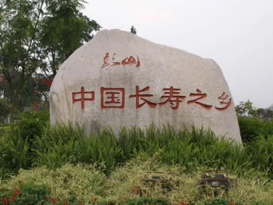 初中化学下学期化学元素与人体健康_第1页