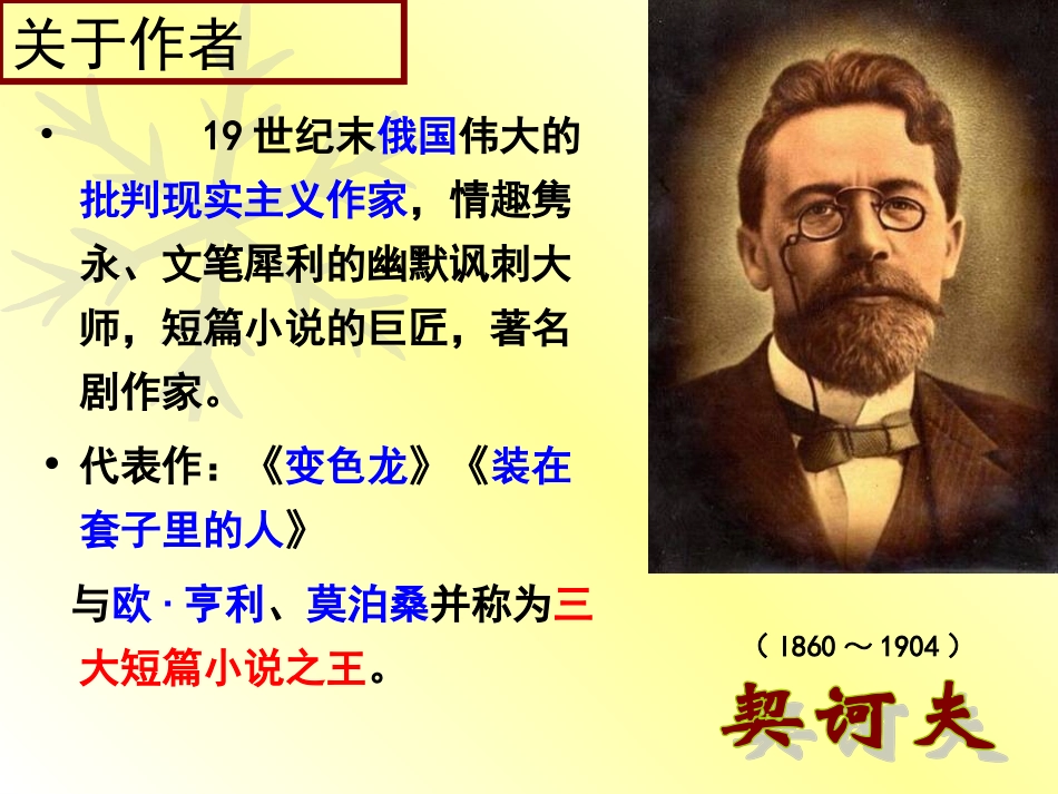 装在套子里的人 (2)_第2页