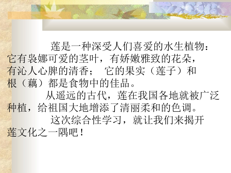 莲文化的魅力_第2页