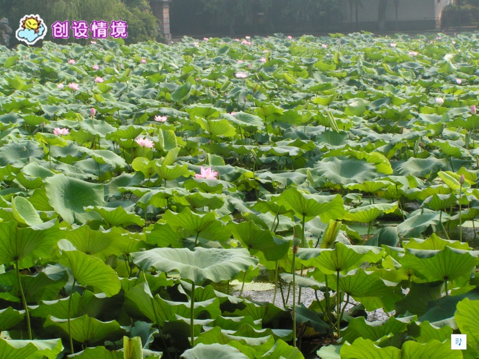 西师大版一年级语文_《江南》课件_第2页