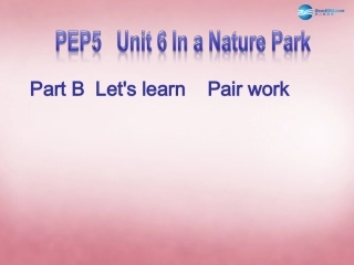 2014年秋五年级英语上册Unit6InaNaturePark课件5人教PEP