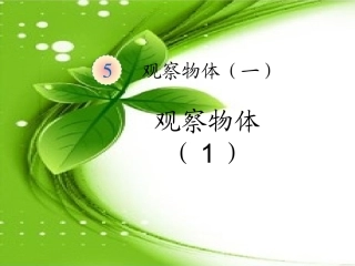 2013年新课标人教版二年级上册第五单元观察物体（一）第1课时课件（13页）
