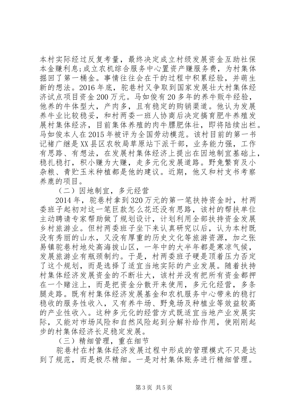 驼巷村发展壮大村集体经济调研报告_第3页