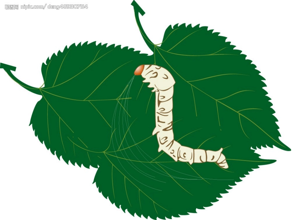 可爱的蚕宝宝_第3页