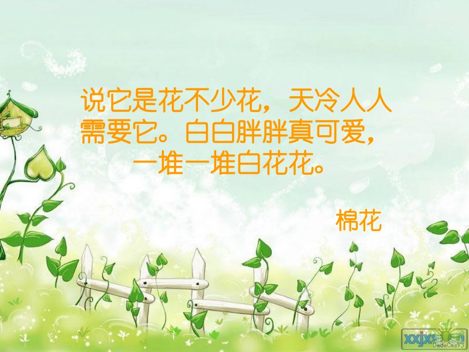 人教版语文一年级下册30《棉花姑娘》课件 (2)_第1页
