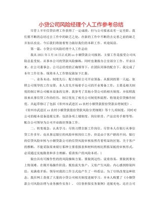 小贷公司风险经理个人工作参考总结