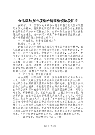 食品添加剂专项整治清理整顿阶段汇报