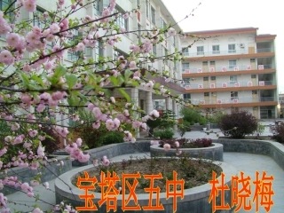 2412垂直于弦的直径