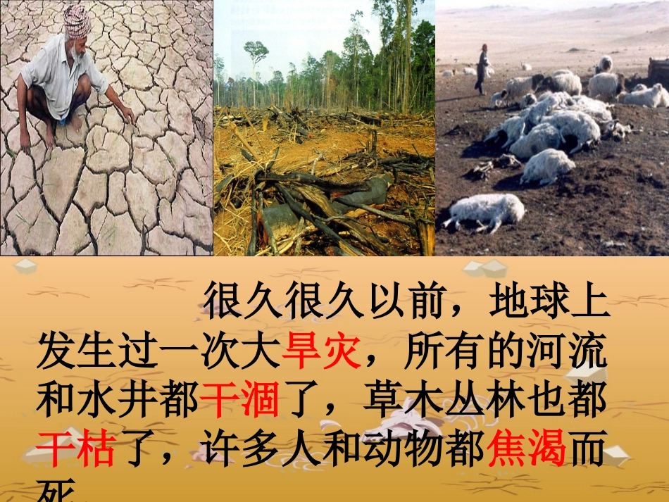 【七颗钻石】课件_第3页