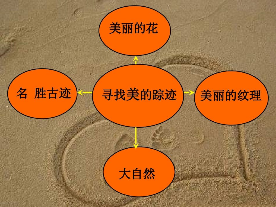 人教版美术六下《寻找美的踪迹》PPT_第2页