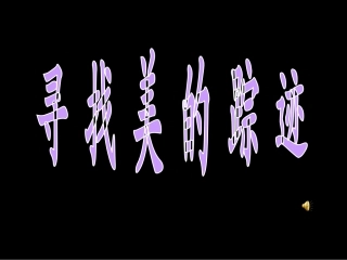 人教版美术六下《寻找美的踪迹》PPT
