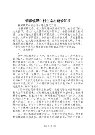铜都镇野牛村生态村建设汇报