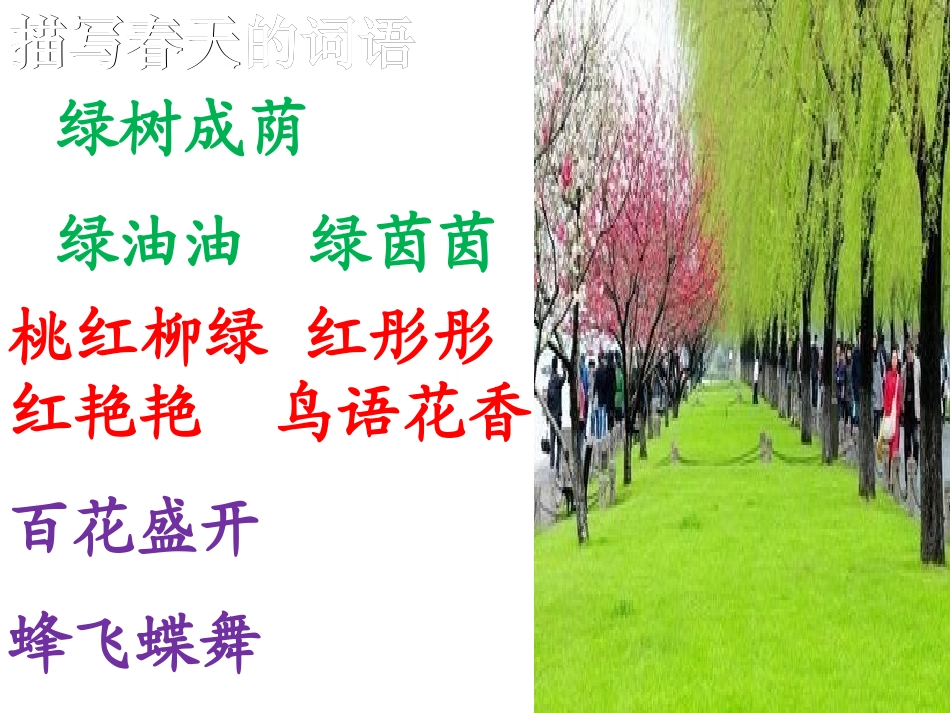 《春雨的色彩》S版一年级语文下册PPT_第2页