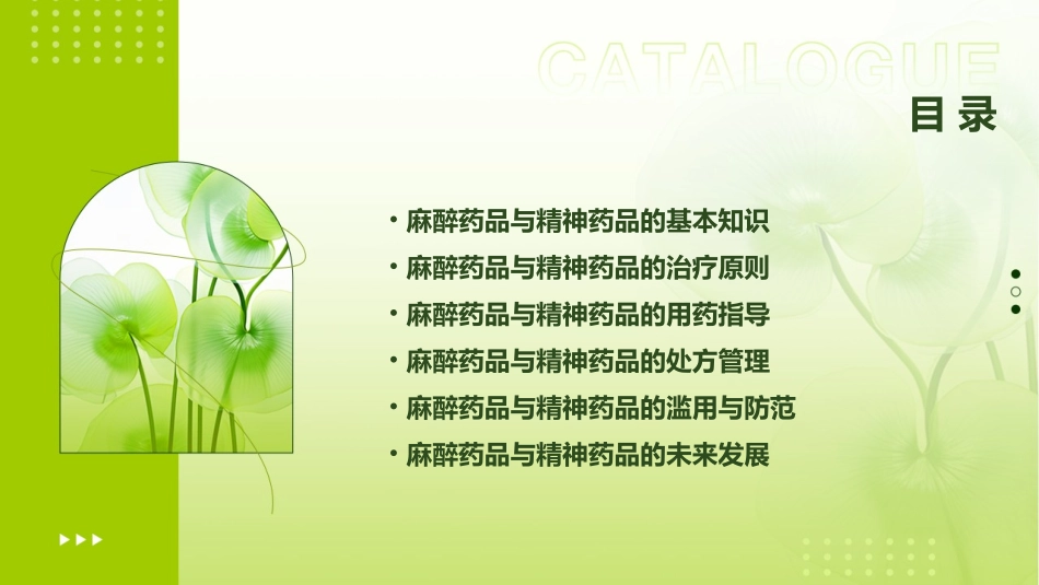 麻醉药品与精神药品治疗原则通用课件_第2页