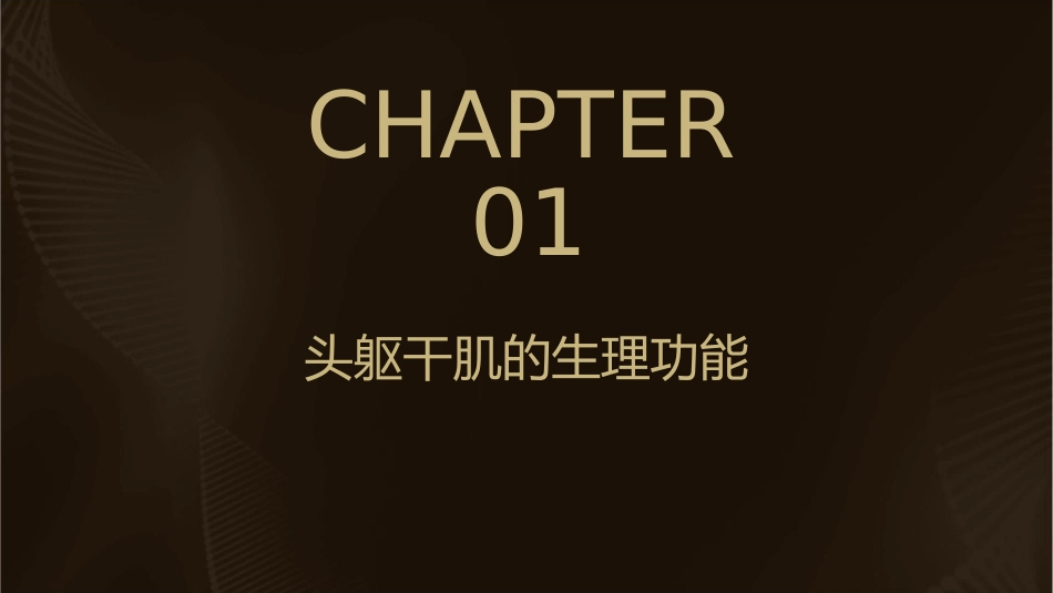 肌学总论头躯干肌课件_第3页