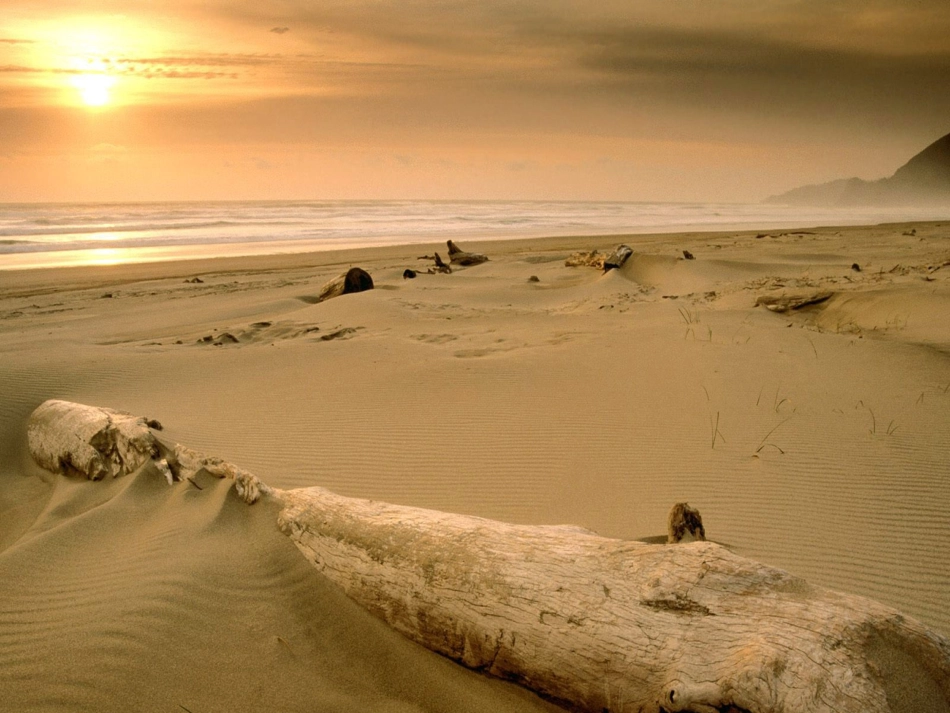 这片土地是圣神的_第1页