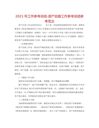 2021年工作参考总结资产自查工作参考总结参考范文