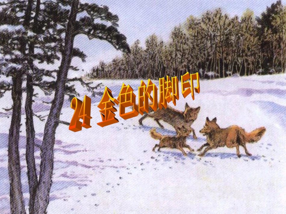 金色的脚印课件_第1页