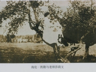 《再塑生命的人》PPT(上)倪进斌