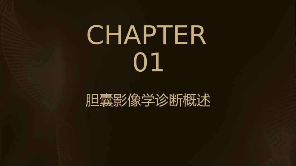 胆囊影像学诊断护理课件_第3页