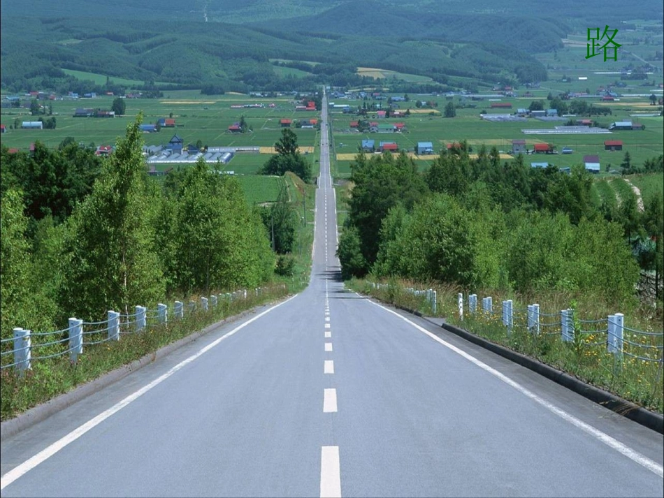 流动的组织—血液_第2页