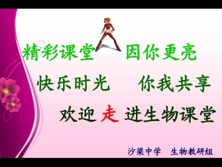 流动的组织—血液