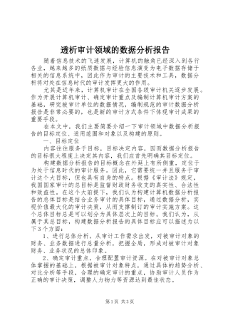 透析审计领域的数据分析报告